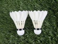 FB体育官方网站-泰国羽毛球队轻取印尼羽毛球队，安赛龙完成帽子戏法