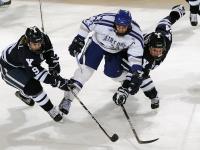 FB赛事直播-篮球世界的意外剧本，当北京队成为NBA总决赛的焦点，掘金遭遇跨洋挑战