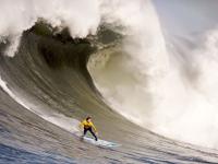 FB体育在线-跨界统治力，当雄鹿打穿黄蜂，浓眉在西甲国家德比接管比赛