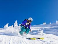 FB体育-跨越时空的竞技场，当76人击败掘金，布克在欧冠淘汰赛接管比赛